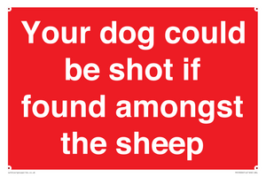 Your dog could be shot if found amongst the sheep